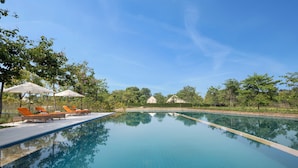 A clear blue swimming pool with lounge chairs and umbrellas, surrounded by trees and a clear sky.