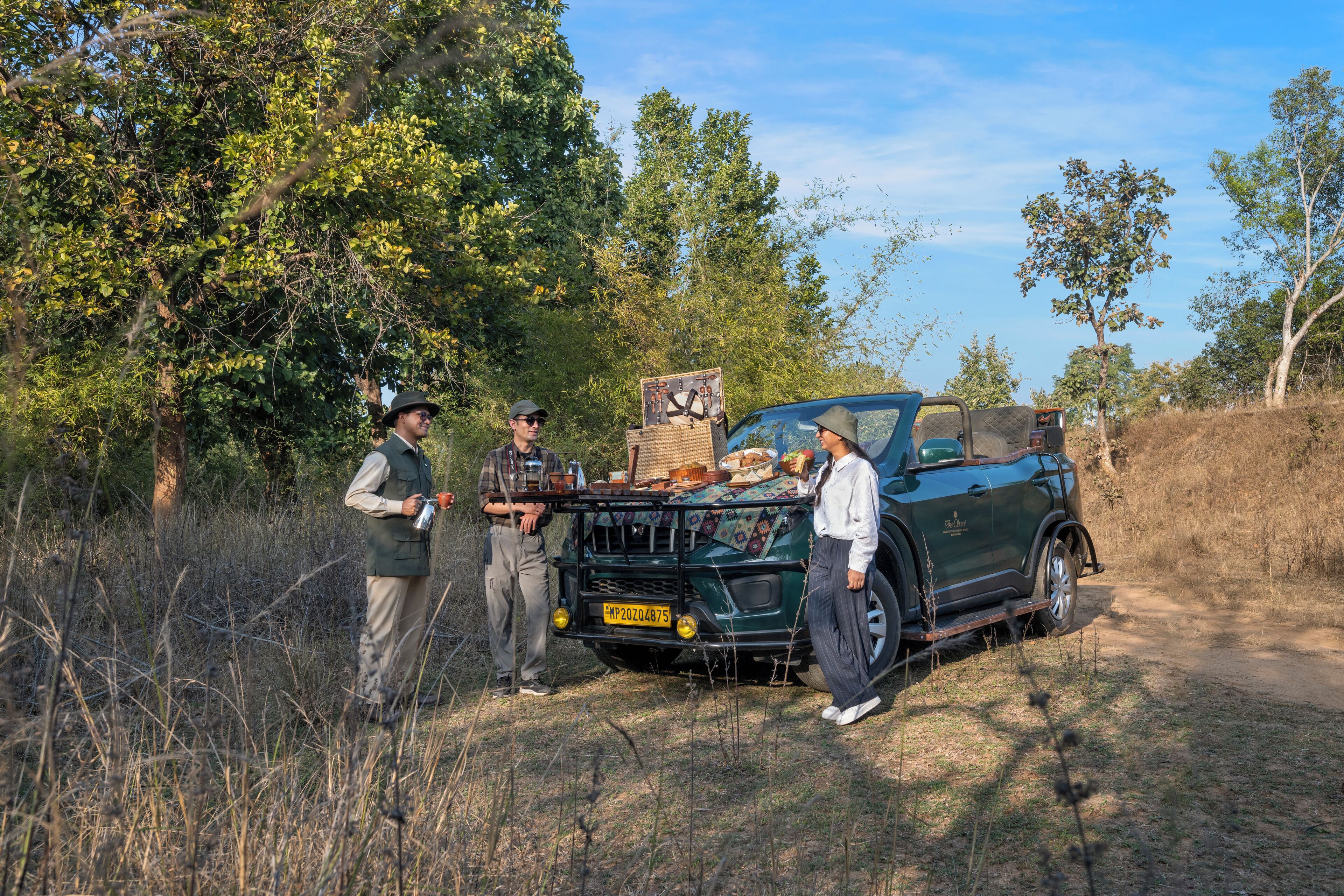 Safari
