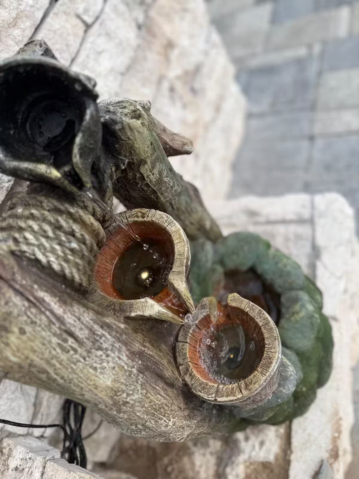 A close-up of a tree branch with hollowed-out sections, possibly for decorative purposes.