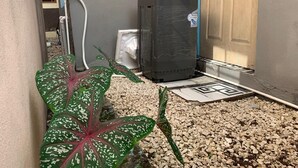 Uma pequena área externa com um bebedouro, um aquecedor de água preto e uma porta.