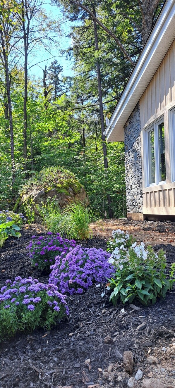 Un jardín con diversas plantas y flores, un edificio de piedra y altos árboles al fondo.