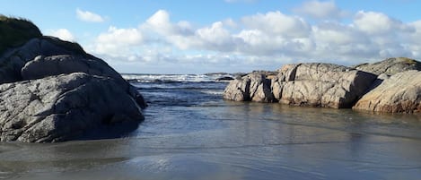 Pesca