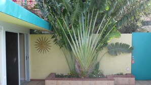 A pool area with a tiled floor, a large plant, and a wall with a sun decoration.