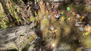 A forest floor with a fallen tree, moss, and various colorful objects scattered around.