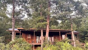 Una baita di legno rustica circondata da un fitto bosco.