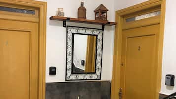A hallway with two doors, a mirror, and a small plant.