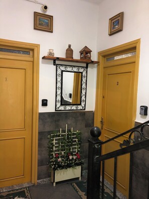 A hallway with two doors, a mirror, and a small plant.