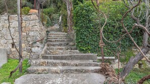 Eine steile Steintreppe führt einen Hügel hinauf, umgeben von Grünpflanzen und Bäumen.