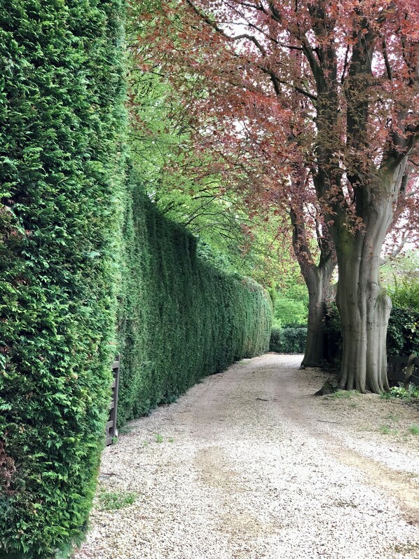Terrain de l’hébergement 