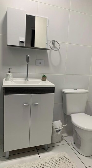 Bathroom features a sink, mirror, and toilet, with a potted plant and trash bin.