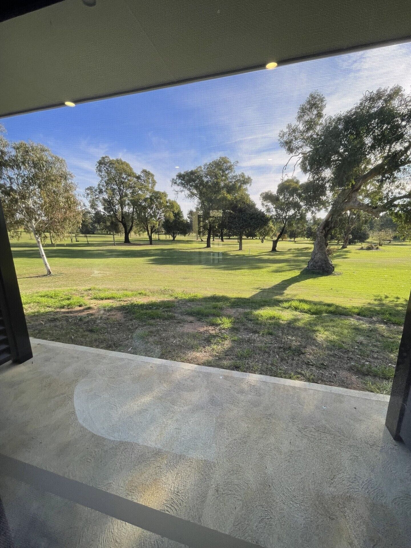 A view through a window with a concrete floor and a mesh screen, overlooking a grassy area with trees and a clear sky.