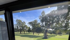 A view through a window of a grassy park with trees and a large tree in the foreground. - Harden Country Club Motel (Harden)