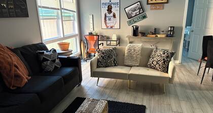 Cozy 1-Large bedroom apartment newly renovated in Midtown Memphis, Wi-Fi, AC