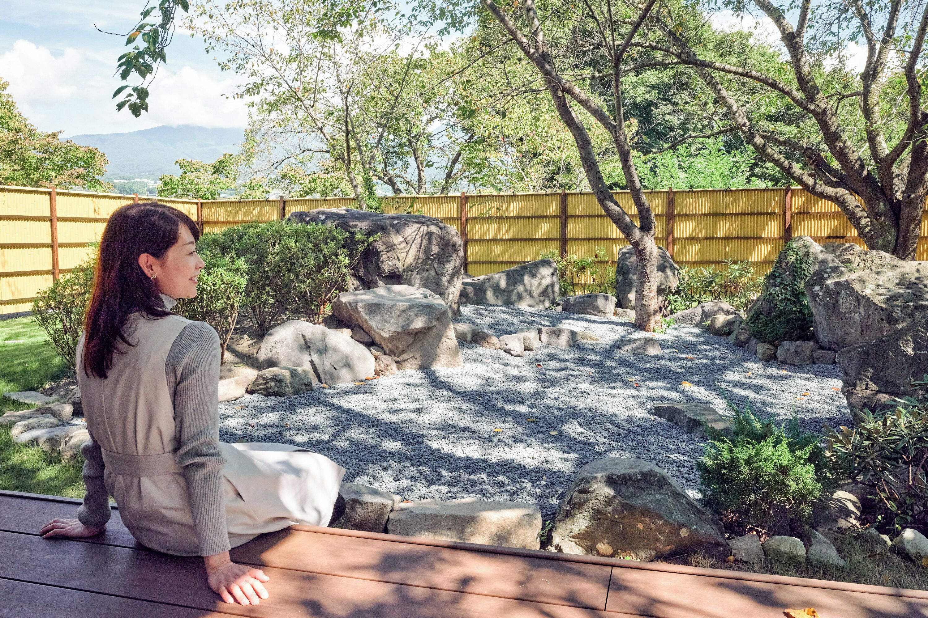 Deluxe Suite | View from room