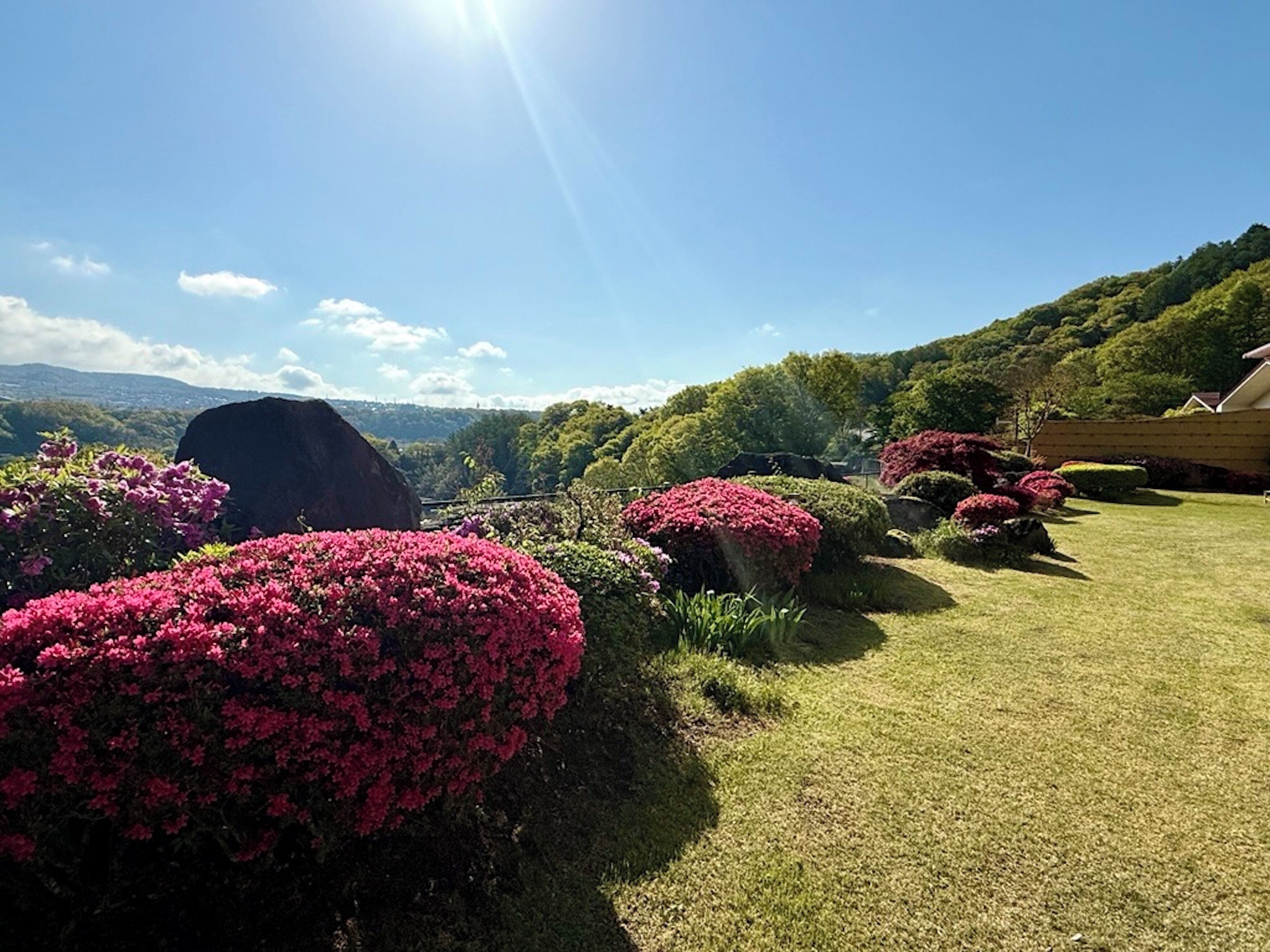 Um jardim com flores cor-de-rosa e vista para uma paisagem montanhosa.