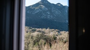 A mountain view through a window, with a forested valley below. - El Angel Vacation Home (Piñeres De Pria)