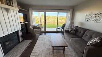 Smart TV, fireplace, DVD player, books