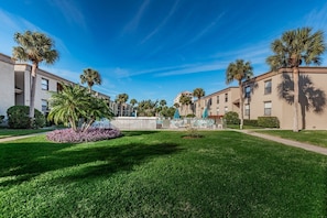 A courtyard with a lawn, palm trees, and a pool area with lounge chairs. - Family Favorite Vacation Destination on the Barrier Island of Indian Shores. TA Issc2 (Indian Shores)