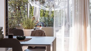Un comedor moderno con una mesa, sillas y una planta en maceta.