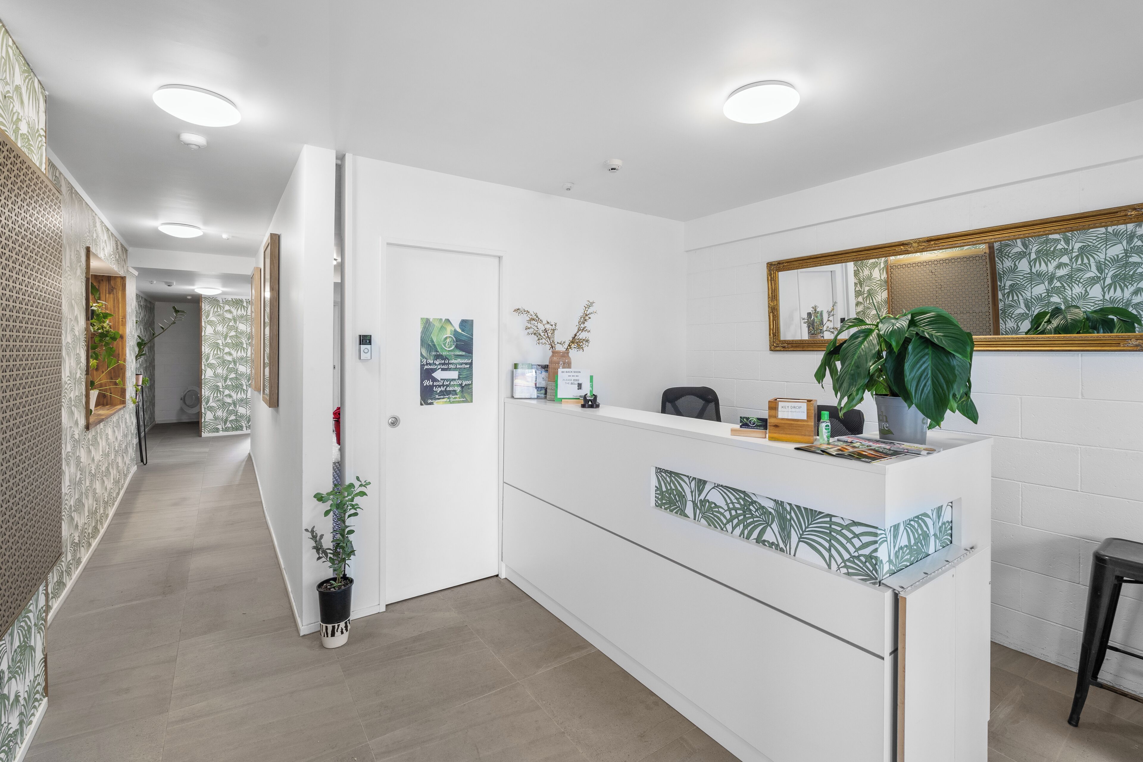 A reception area with a white counter, a mirror, and a potted plant.