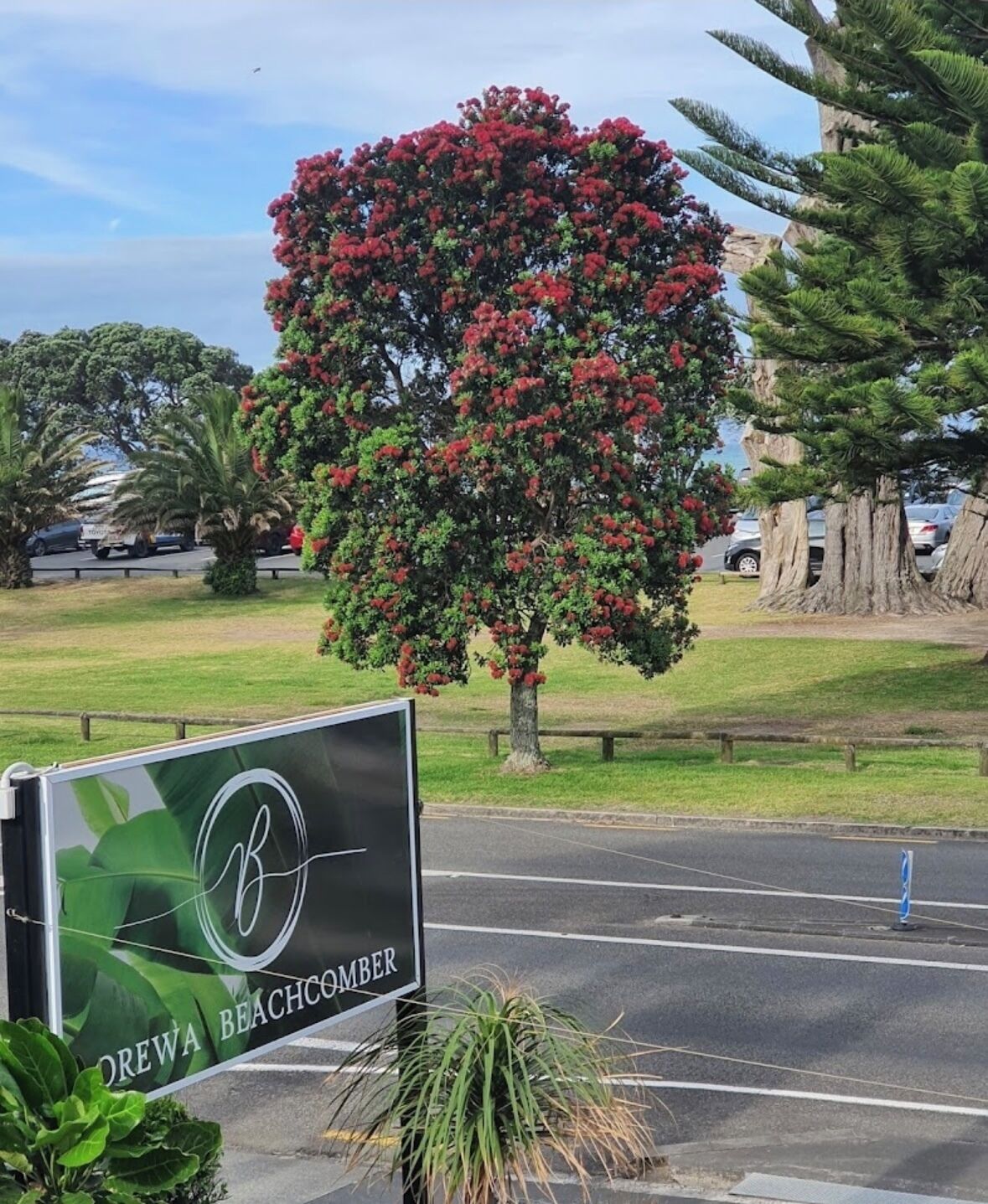 Letrero de 'Morewa Beachcomber' con un gran árbol de fondo.