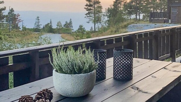 A wooden deck with a potted plant and two decorative vases. - Amazing home in Nissedal with WiFi (Nissedal)