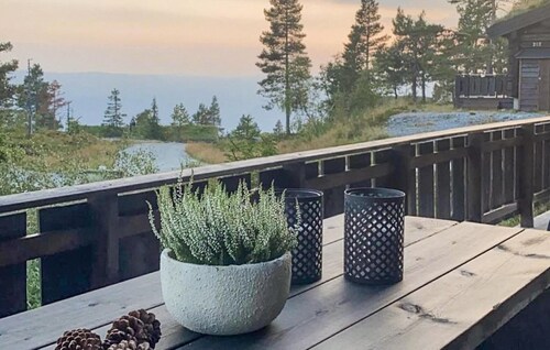 Amazing home in Nissedal with WiFi