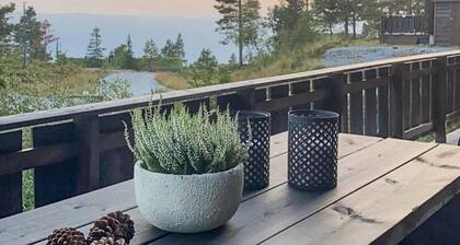 Amazing home in Nissedal with WiFi