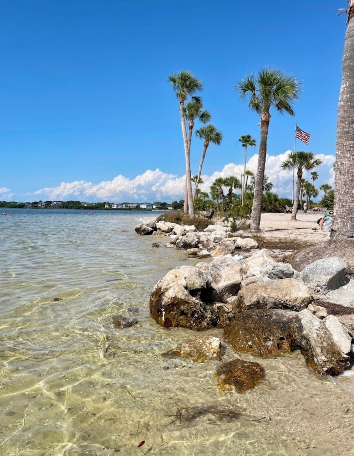 A beach with clear shallow waters, palm trees, and a flag.