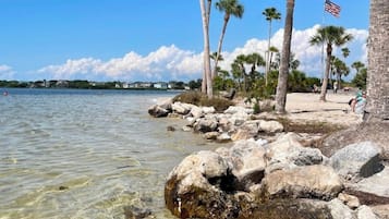 A beach with clear shallow waters, palm trees, and a flag.