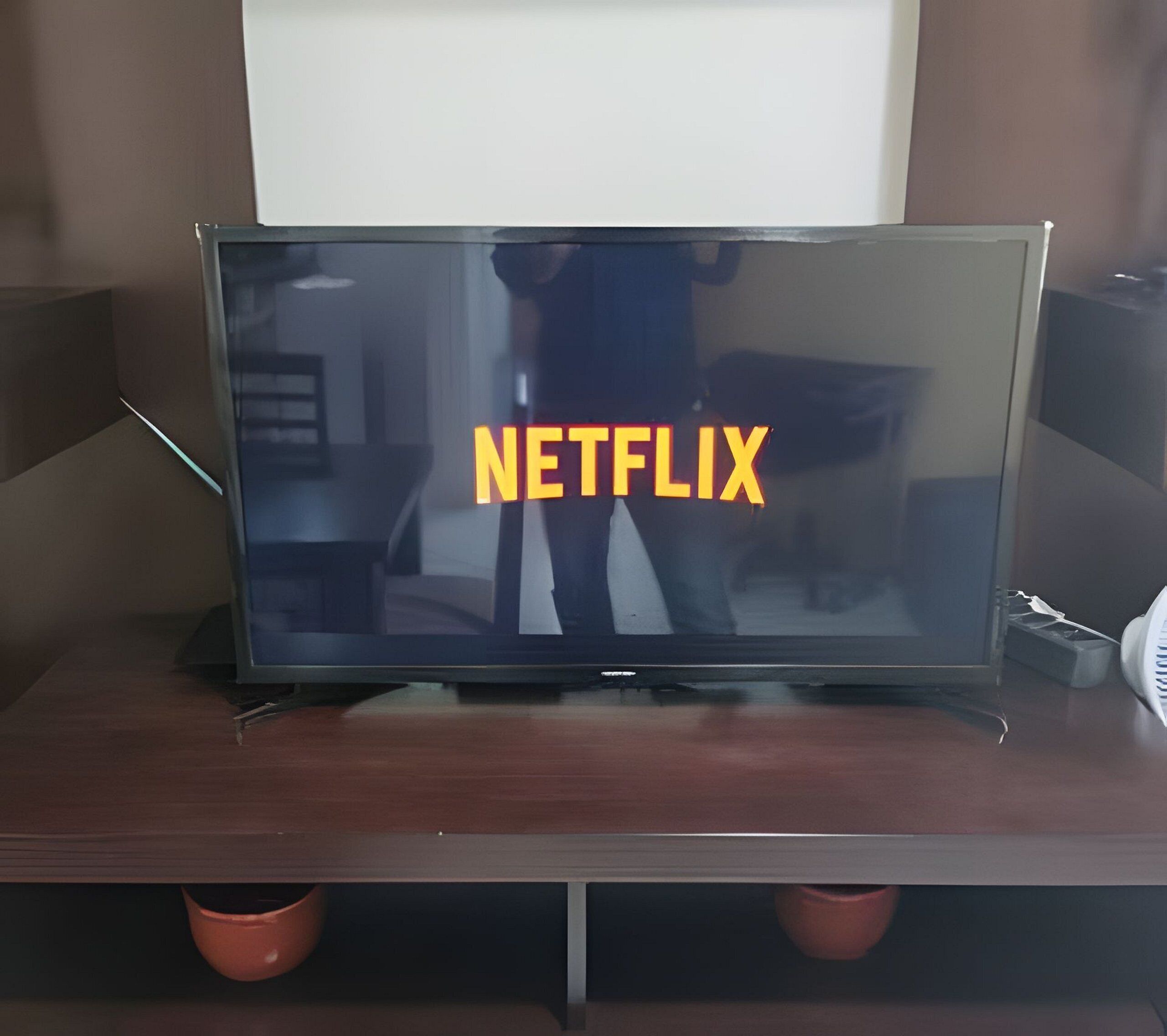 A television with the Netflix logo on its screen, placed on a wooden stand with two small potted plants at the base.