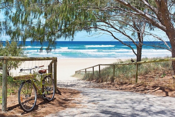Stroll along the coastal pathway to the sandy beach, flanked by trees and vegetation.