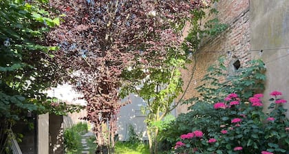 Le Jungle - RiviĂšre - 4 Pers - RĂȘve au Mans