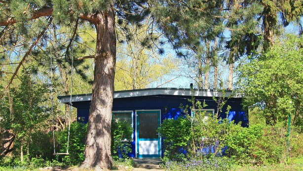 Un bâtiment bleu entouré d’arbres et de verdure.