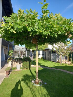 Property grounds - Apartment 'Dani' with Wi-Fi (Kötz)