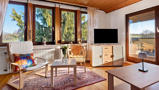 Ein Zimmer mit Holzboden, großen Fenstern, einem Fernseher, einem Esstisch, einem Stuhl und einem Schrank.