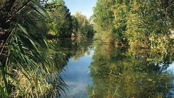 A calm river surrounded by dense foliage.