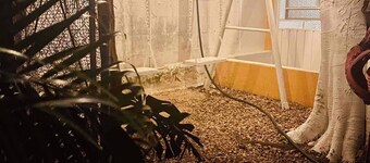 6 min. from the Fair and just around the corner from the Zoo! Hummingbird Corner #4