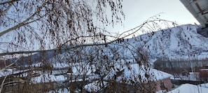 A snowy landscape with bare trees and a mountain in the background. - Hills Hotel karakol (Karakol)