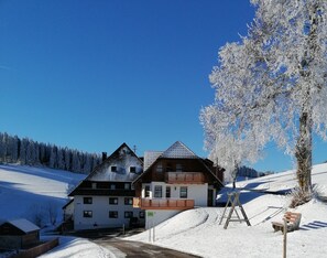 Exterior - Holiday Apartment 'West' with Shared Terrace, Shared Garden and Balcony (Eisenbach (Hochschwarzwald))