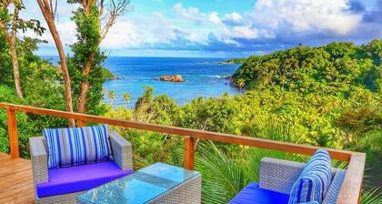 Blue Whale Villa - Deluxe Studio