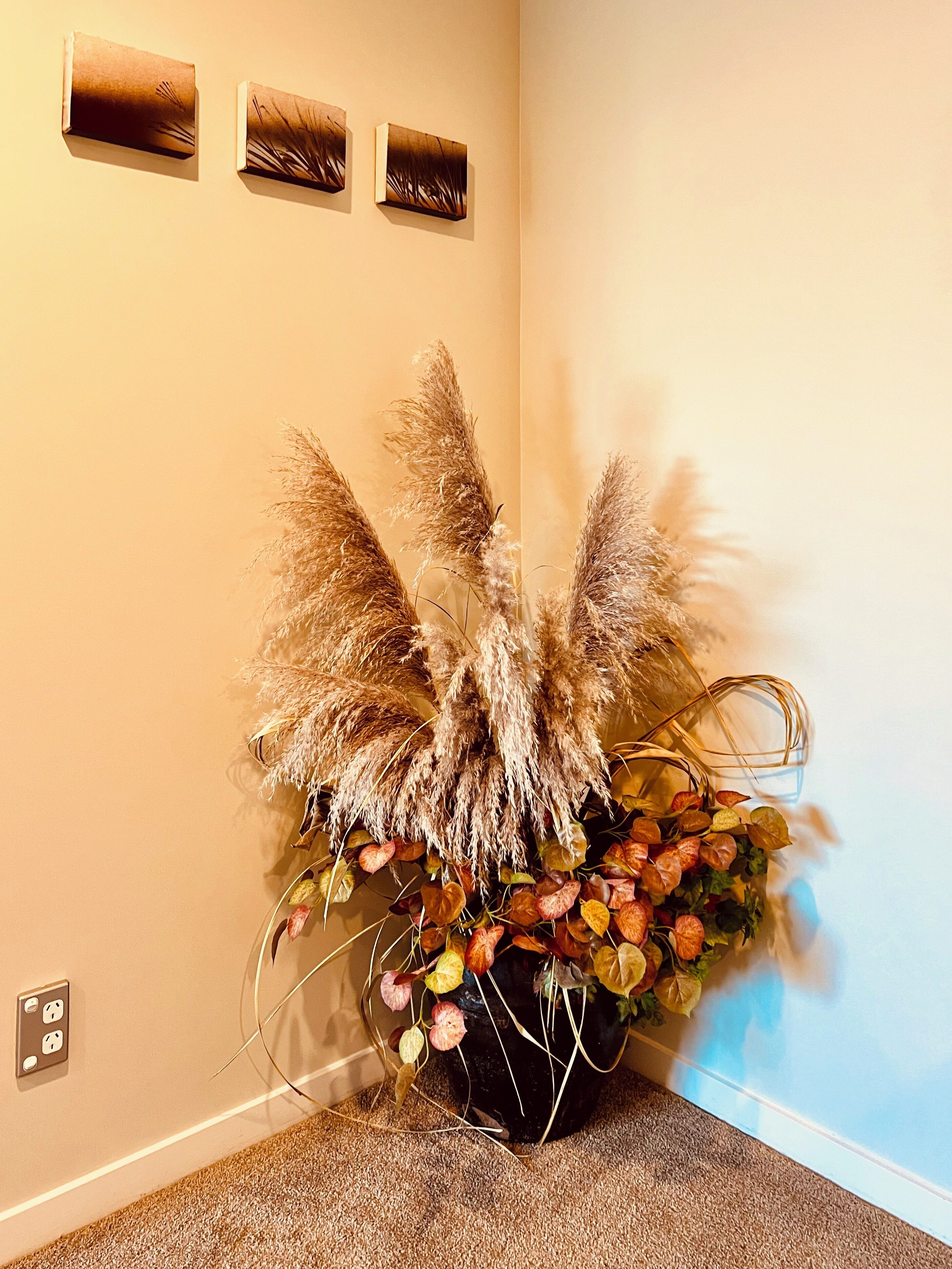 A corner with a large decorative plant arrangement, a wall-mounted light switch, and three small framed pictures.