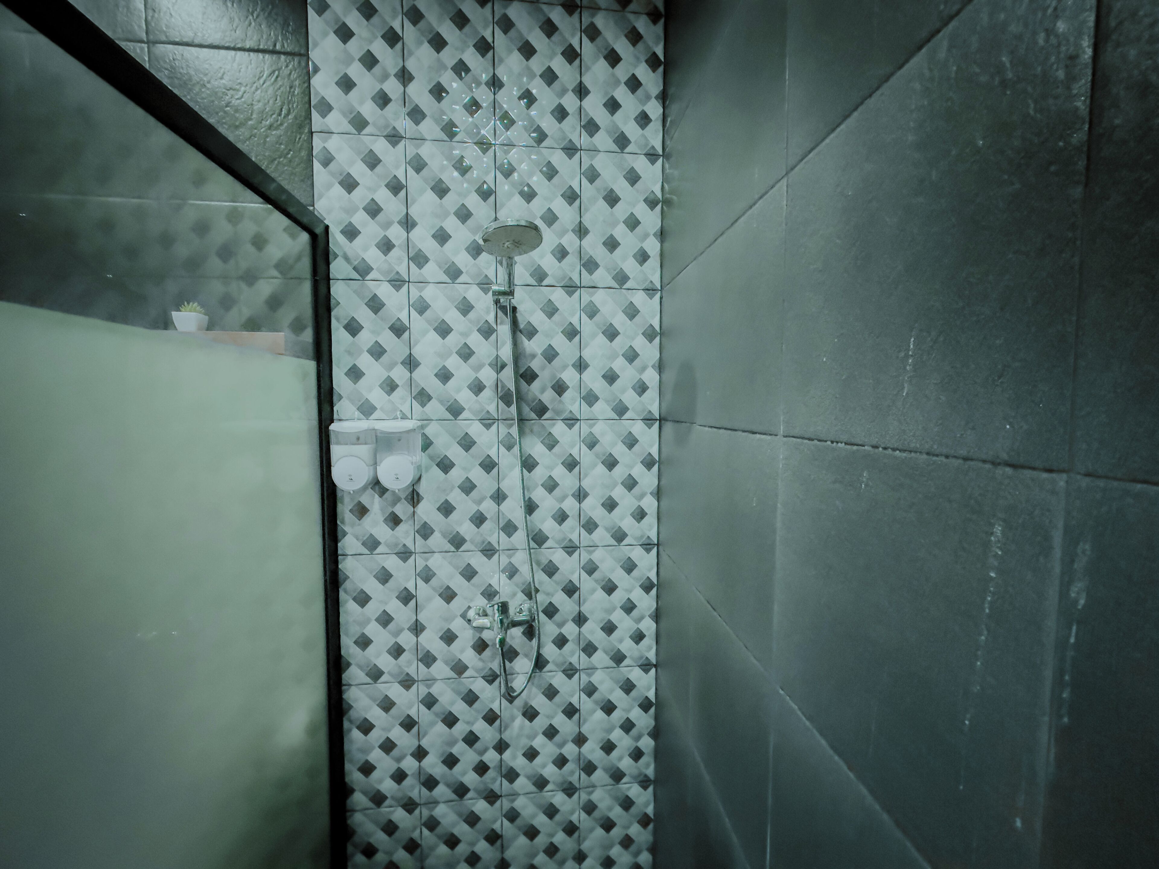 A bathroom with a shower area featuring a diamond-patterned tile wall, a glass partition, and a small potted plant on the left.