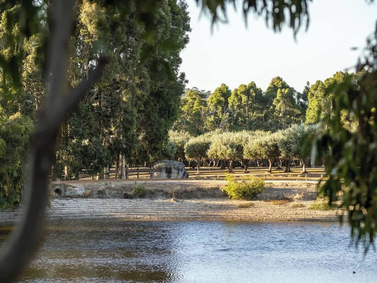 A serene outdoor setting with a body of water, trees, and a stone structure.