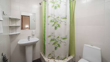 A bathroom with a white sink, a toilet, and a shower curtain with a floral design.