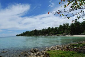 Una playa tropical con agua turquesa cristalina, una costa rocosa y una hilera de palmeras al fondo.