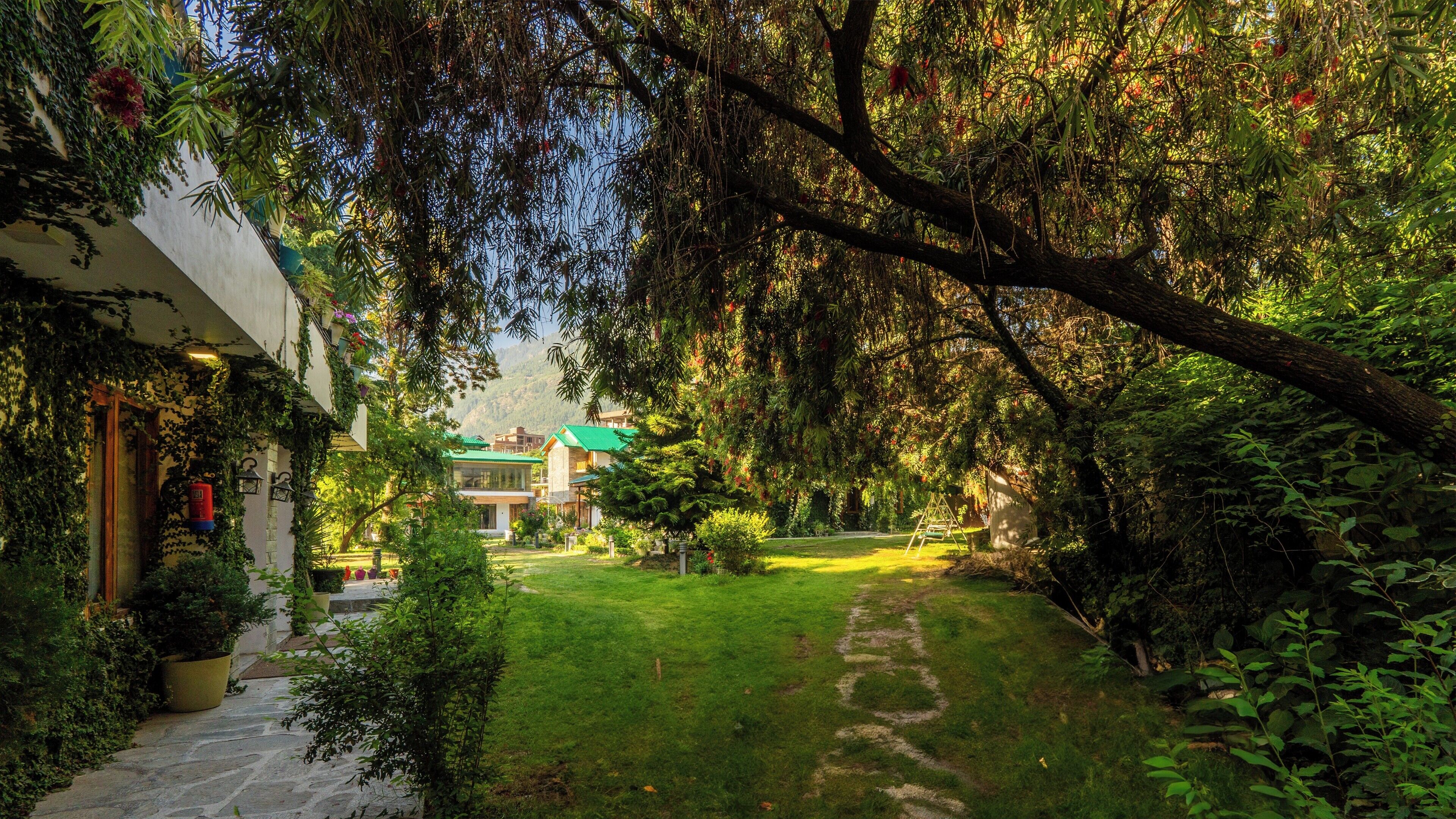 A lush garden with a pathway leading to a building with a green roof.