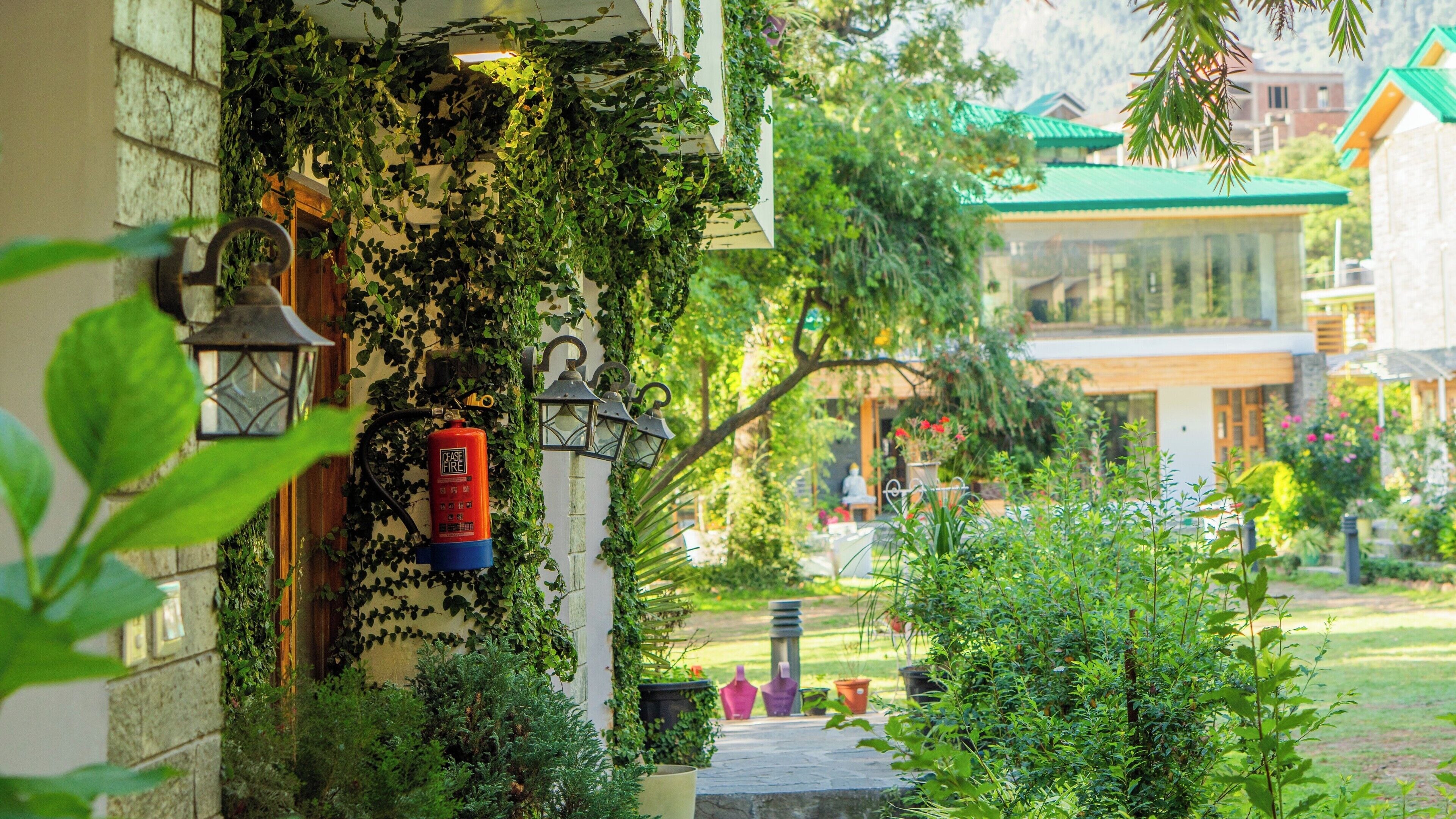 A lush garden with a fire extinguisher mounted on a wall, surrounded by greenery and a pathway leading to a building with a green roof.