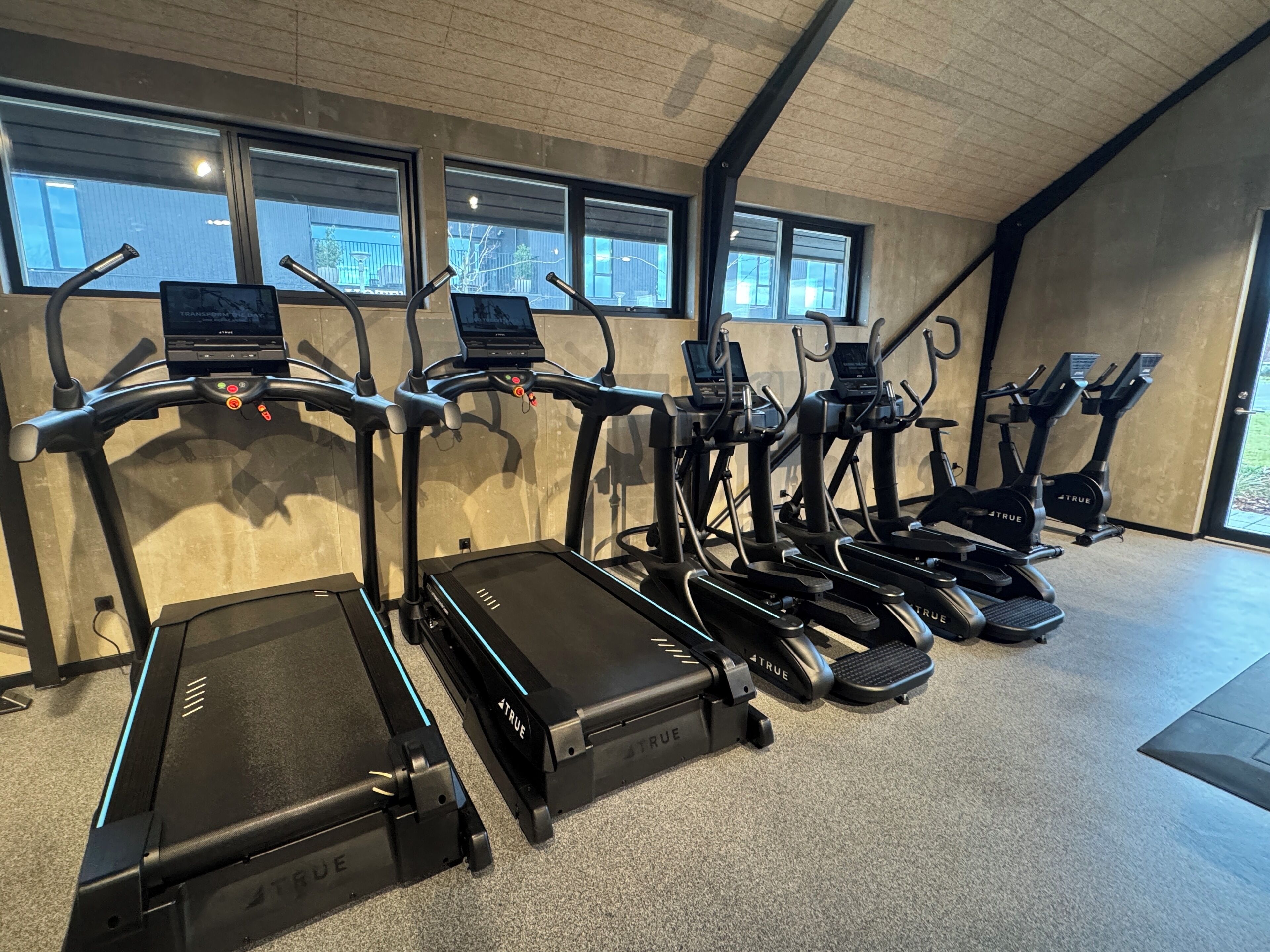 A gym with multiple treadmills and elliptical machines, large windows, and a concrete ceiling.