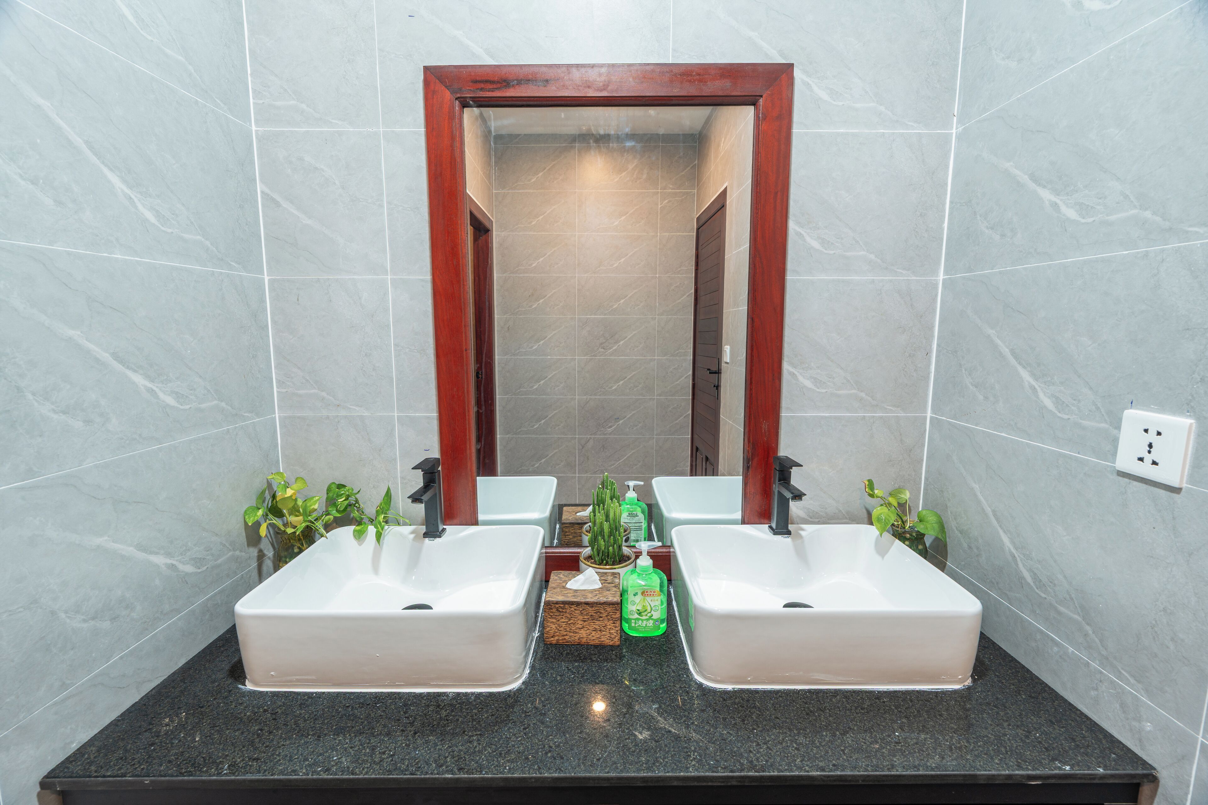 Une salle de bain avec deux lavabos, un miroir et une petite plante posée sur le comptoir.